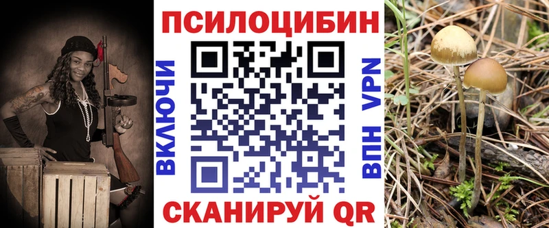 даркнет сайт  Клин  Псилоцибиновые грибы мухоморы 