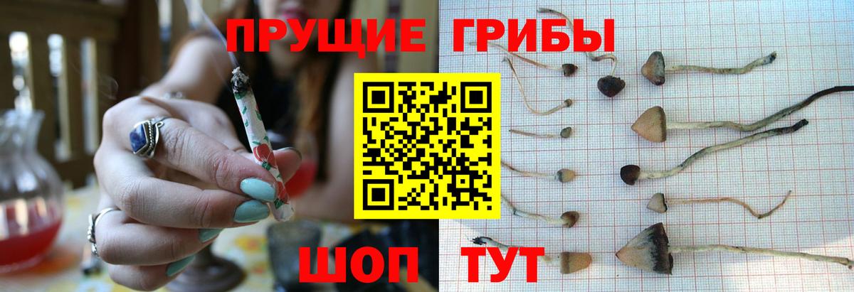 Псилоцибиновые грибы Magic Shrooms Клин