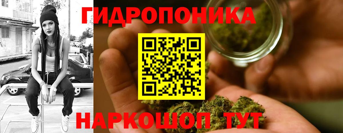 Шишки марихуана VHQ Клин